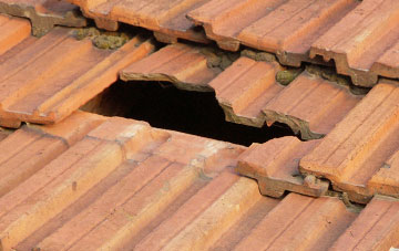 roof repair Bucklerheads, Angus