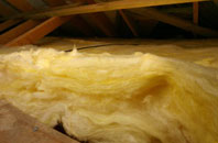 Bucklerheads pitch roof insulation